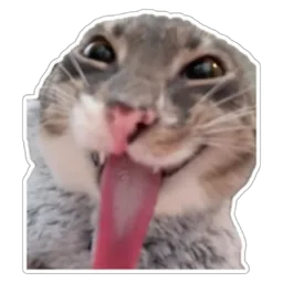 lucu, kucing, cat, julur lidah, meme kucing