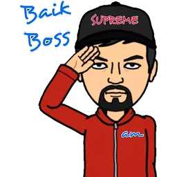 tabik, setuju, okay, hormat, baik boss