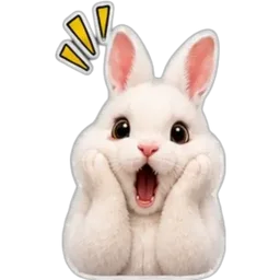 comel, arnab, terkejut, shock, rabbit