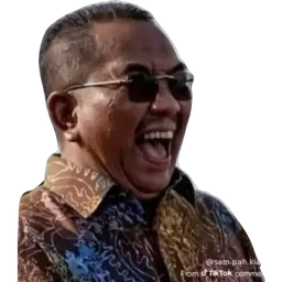 ketawa, gelak, meme, cermin mata, batik