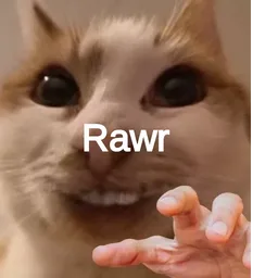 kucing, comel, cat meme, garang, rawr