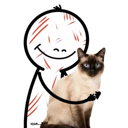 kucing, comel, cat, peluk, smile