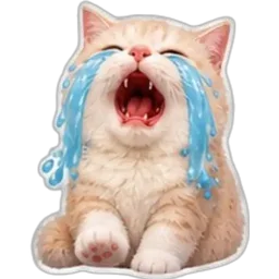 kucing, comel, menangis, sedih, air mata