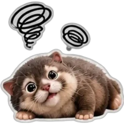 kucing, comel, cat, fikir, baring