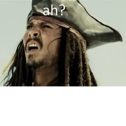 reaksi, lanun, confused, apa, ah