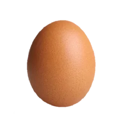 telur, egg